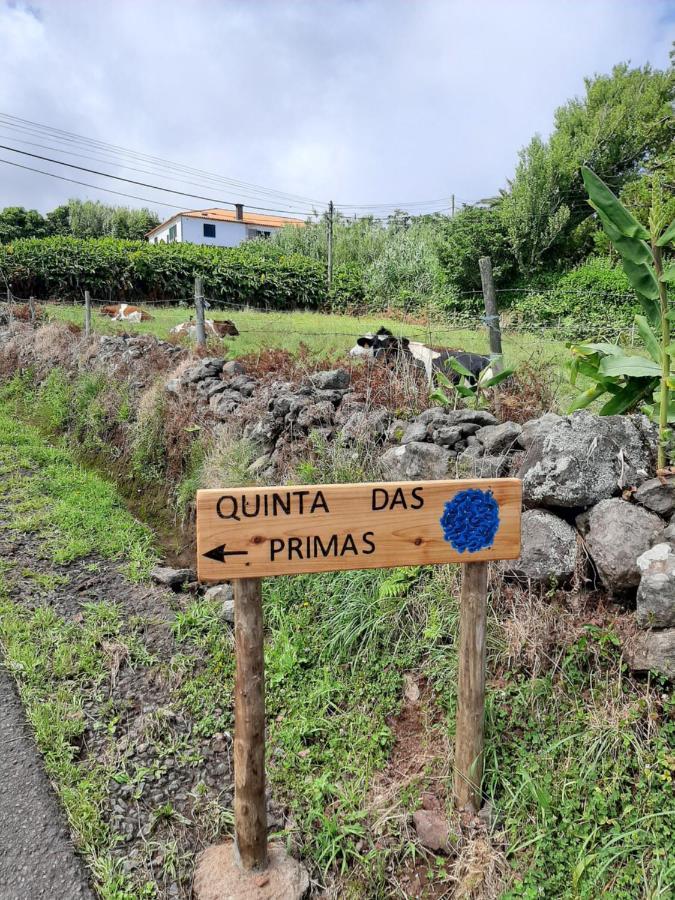 Quinta Das Primas Lomba  Extérieur photo